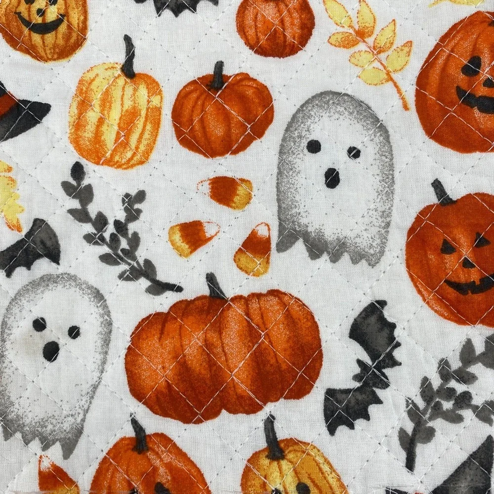 Rachel Ashwell Halloween Placemats (4) Orange Pumpkin Ghost Gingham Reversible